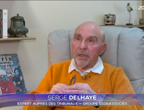 Incendie dans l’Aisne : Serge Delhaye interviewé dans le JT de 20h de TF1.